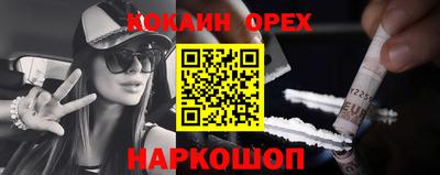 молекула духа Кингисепп