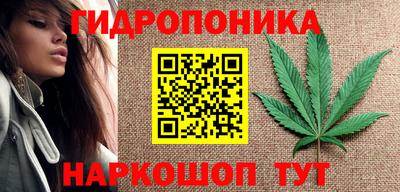 молекула духа Кингисепп