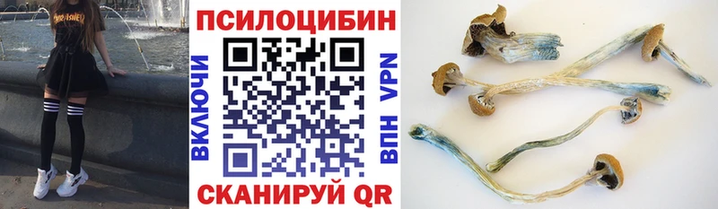 Псилоцибиновые грибы Psilocybe  Коряжма 