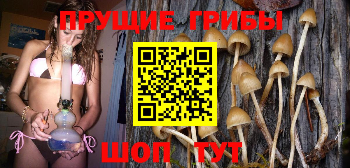 Псилоцибиновые грибы GOLDEN TEACHER Коряжма