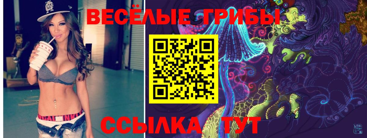 Галлюциногенные грибы MAGIC MUSHROOMS  Вход с VPN  Коряжма 