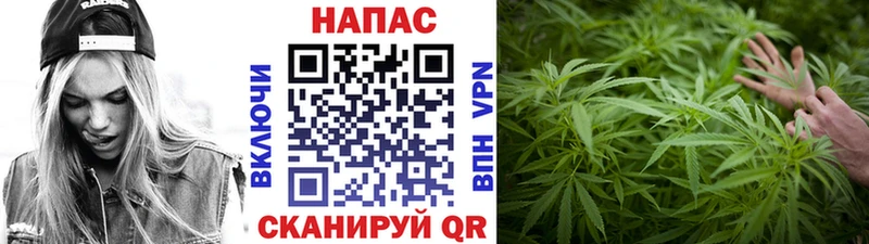 Канабис гибрид  закладки  Коряжма 