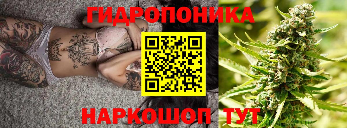 Шишки марихуана White Widow  Бошки Шишки конопля  Вход с VPN  Коряжма 